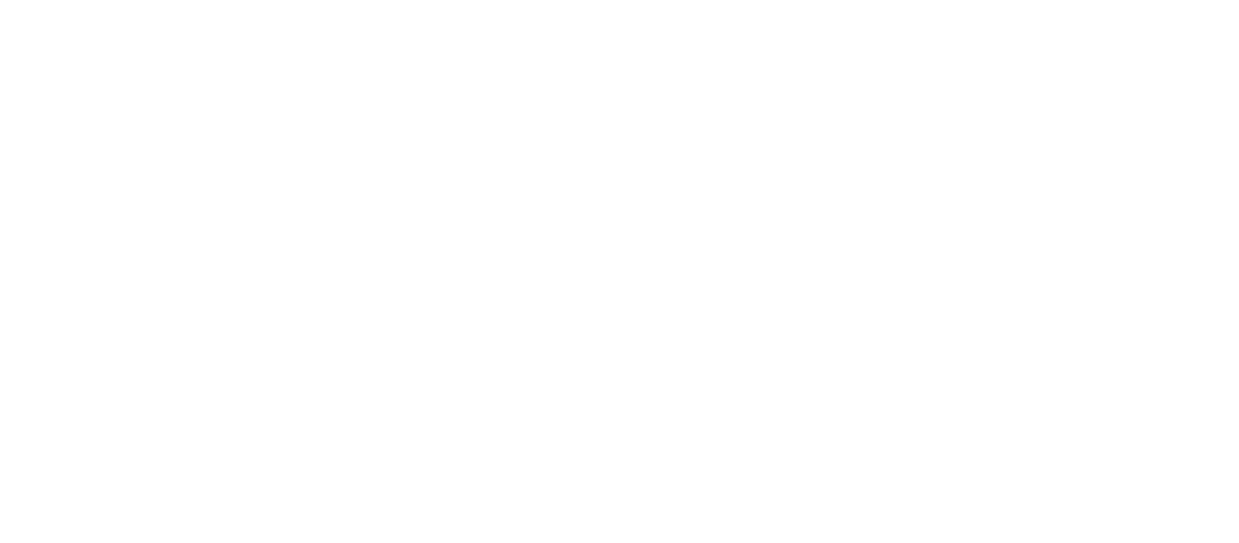 Essea Studio